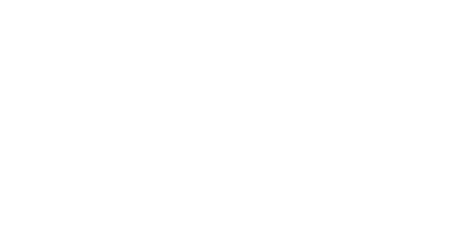 Virtualware Logo